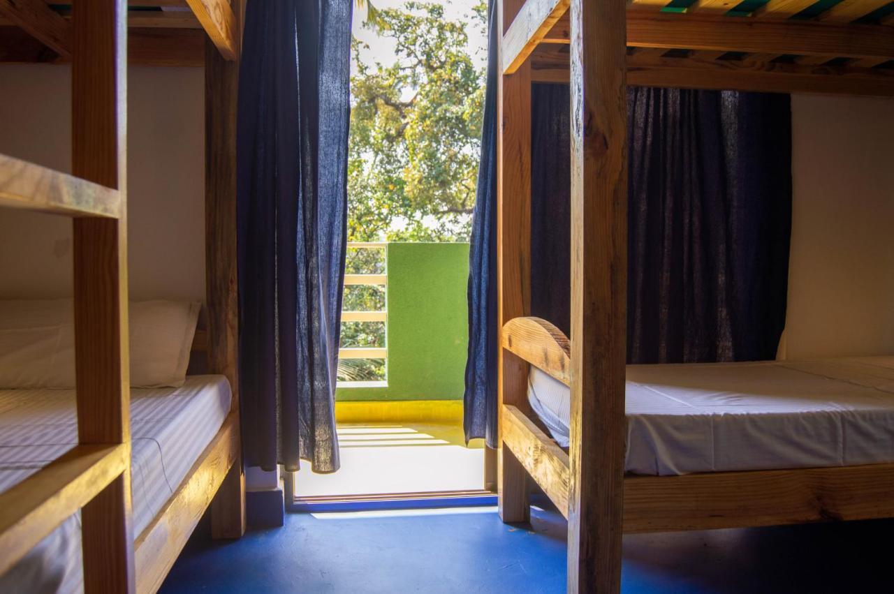 Green Nest Hostel, Baga- North Goa Арпора Екстериор снимка